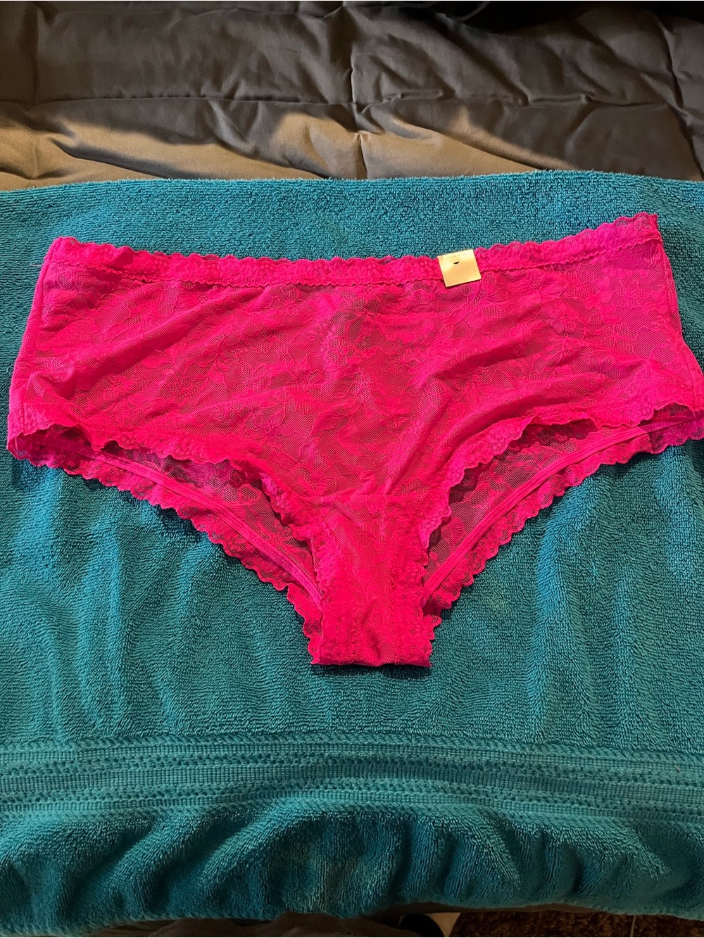 torrid Fuchsia Lace Hipster Panty